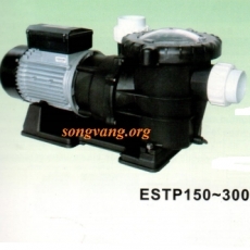 Model ESTP-200
