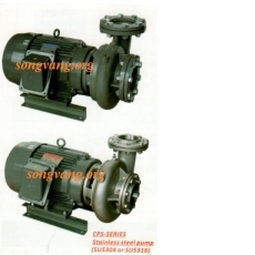 Model CP(S)80-215